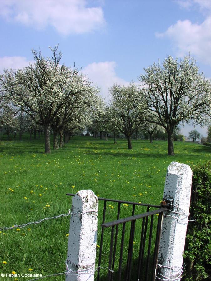 O Macra B&B - Aubel, Pays De Herve المظهر الخارجي الصورة